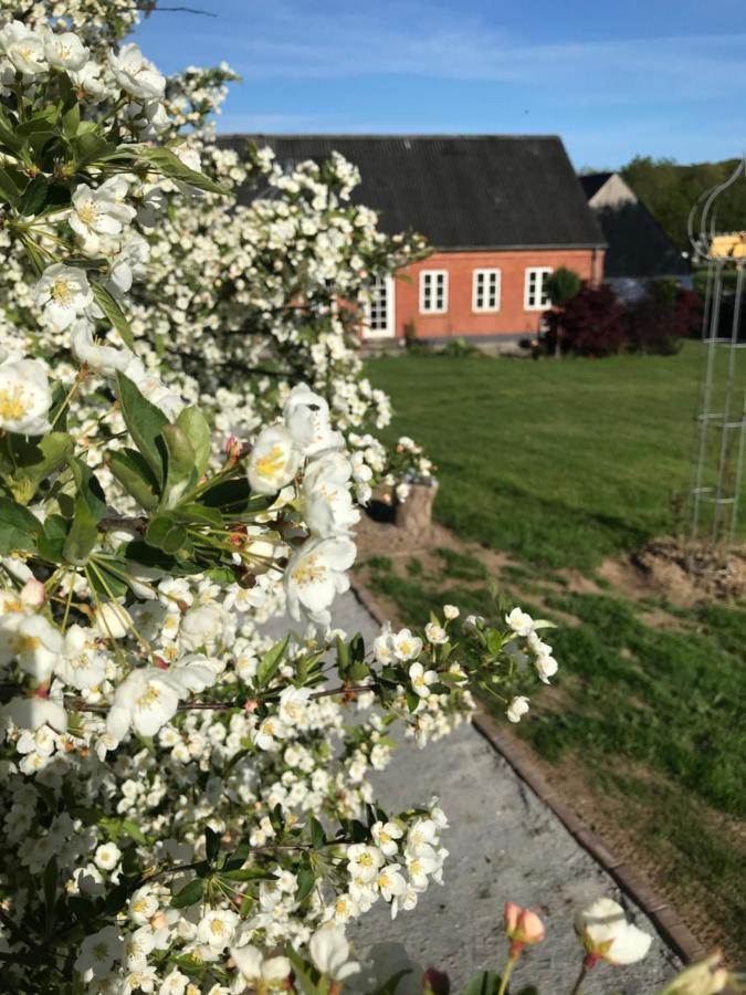 Brorup Kjaersgaard, Hygge, Ro, Natur Og Landliv Сканнерборг Экстерьер фото