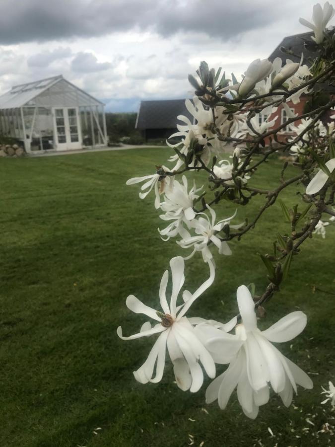 Brorup Kjaersgaard, Hygge, Ro, Natur Og Landliv Сканнерборг Экстерьер фото